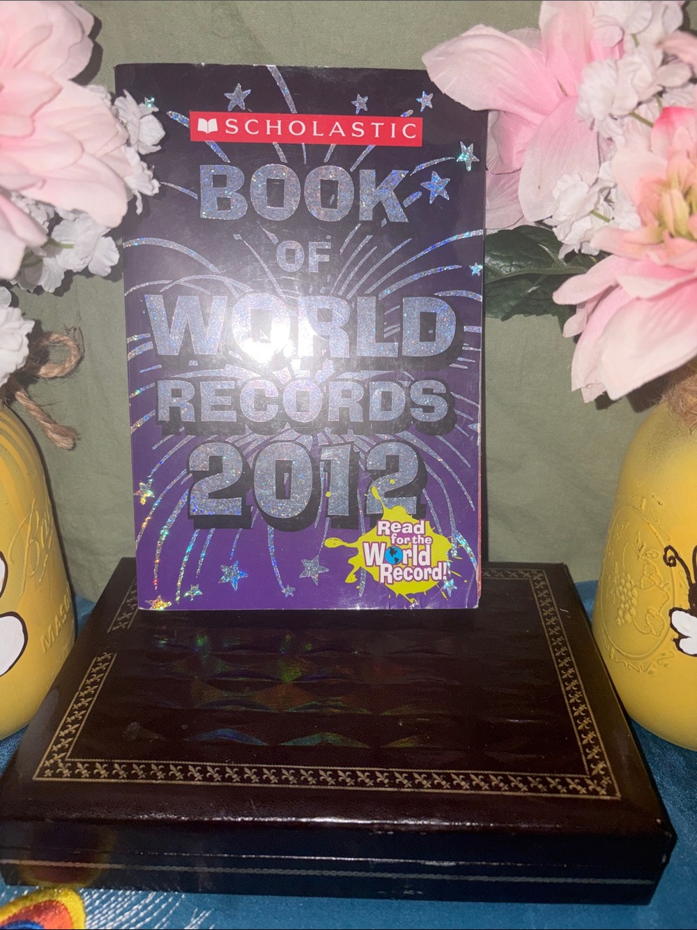 2012 World Records paperback